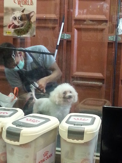 Photos of Urban Pets