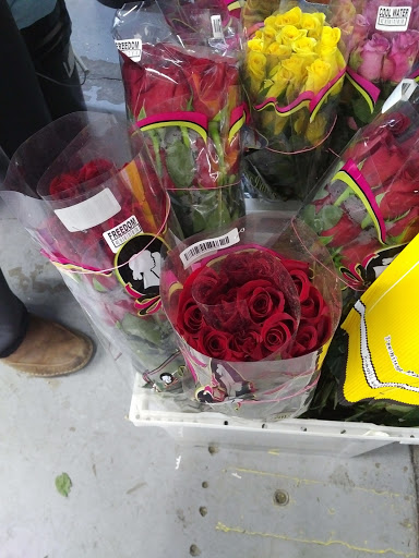 Tenefleurs - Visual