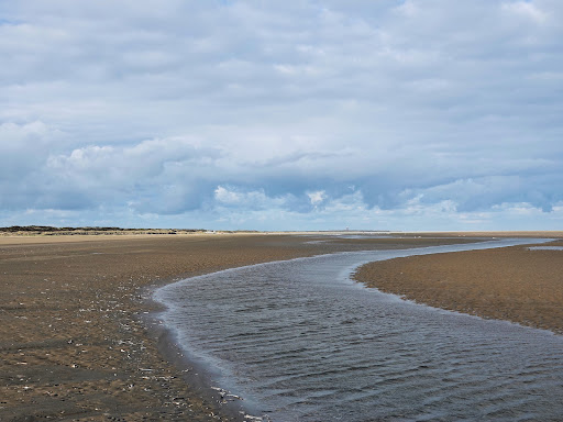 Duinen van Goeree - Thumbnail