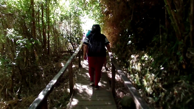Horarios de Parque Nacional Chiloé