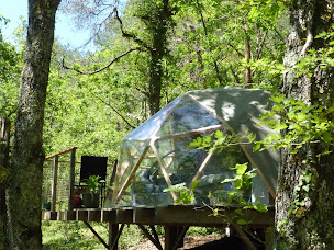 Photo n°5 de Arborea - Nuits insolites chez l'habitant à Montignac-Lascaux (Camping avec cabanes)