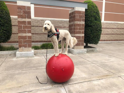 Copilot Academy, LLC