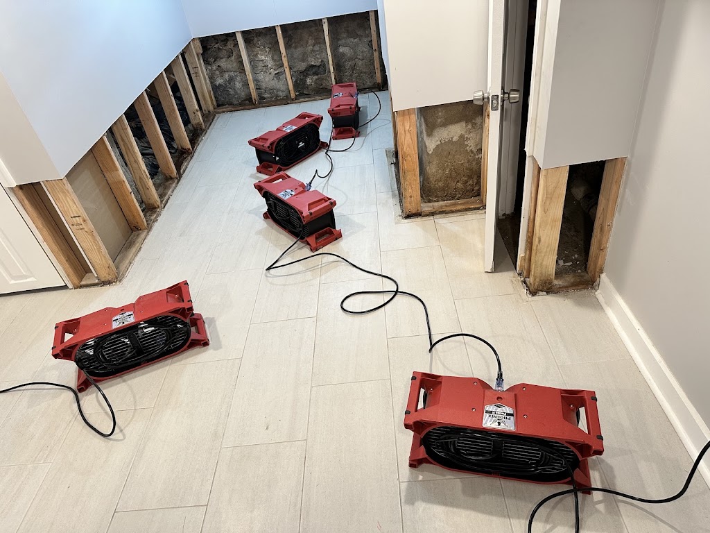 Master of Disasters Restoration photo