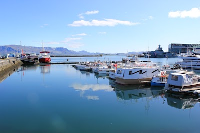 Photos of Elding Whale Watching Centre