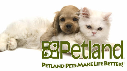 Petland Village of Eastside