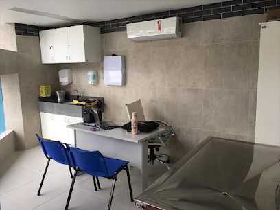 Pet Anjo Av. Sumaré: Veterinário, Banho e tosa, Vacinas em São Paulo