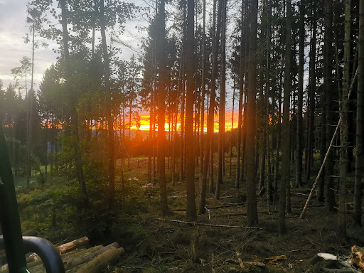 Sporrer Holz-Gruppe