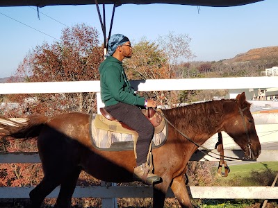 Five Oaks Riding Stables