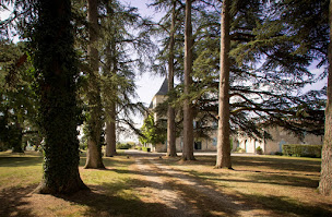 Photo n°3 de Château de Naudou à Puymirol (Lieu de mariage)