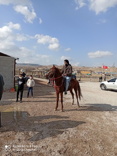 Kayseri Osmanlı At Çiftliği