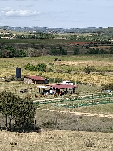 Le Ranch aux Escargots Virginie Murciano - Thumbnail