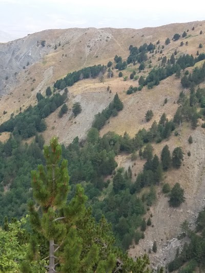 Photos of Stadiumi Gramozi