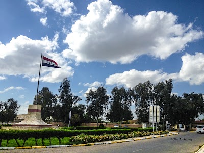university