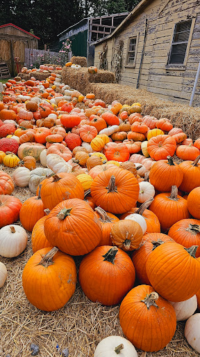 Tony's Produce Gallery - United States