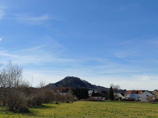 Beeruss Immobilien UG