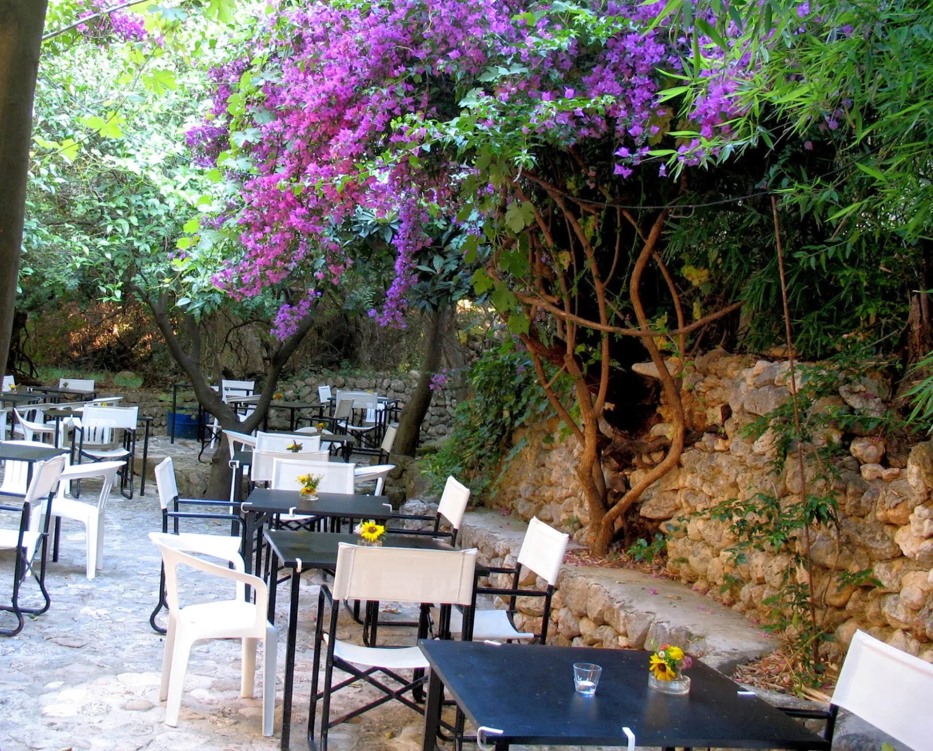 Pension Trifilli