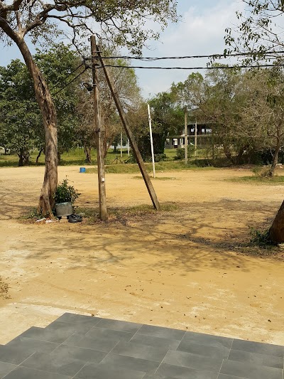 Photos of Wickramaratne Seeradu Piyasa
