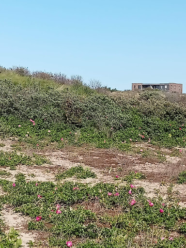 Duindorp Tweewielers - Thumbnail