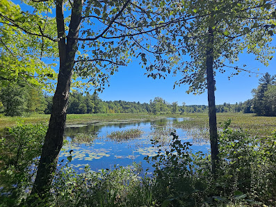 Otter River Conservation Area Gardner, MA 01440