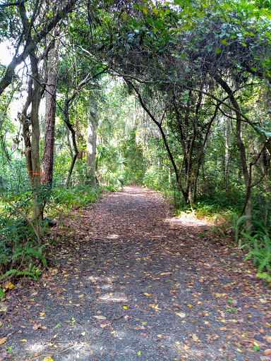Tanglewylde Nature Park - Thumbnail