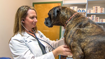 Photos of The Animal Hospital of Roxbury