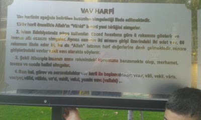 university