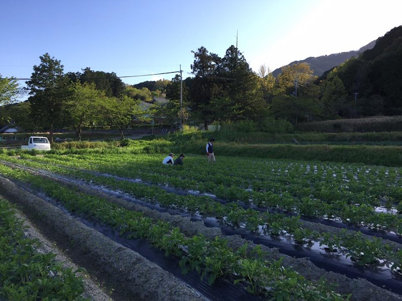 葛城山麓農園（株）