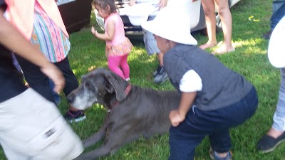 Photos of Sarkine Picnic Park