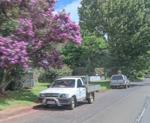 Sunshine Coast Council - Thumbnail