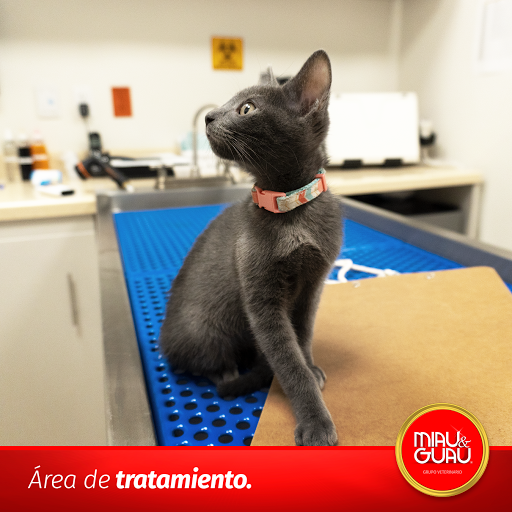 MIAU&GUAU ZONA DORADA | EN PETCO