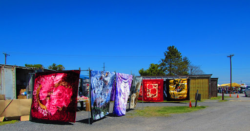 Shen-Valley Flea Market