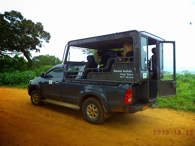travel-agency