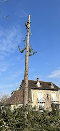 Photo n°17 de Mickael élagage à Siorac-en-Périgord (Service d'élagage)