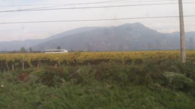 Photos of Chi&ntilde;ig&uuml;e Los Quilos