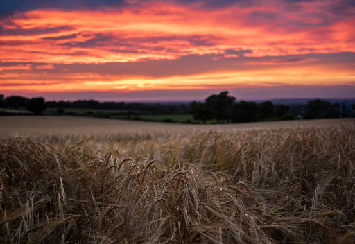 Lye Corn Mills - Thumbnail