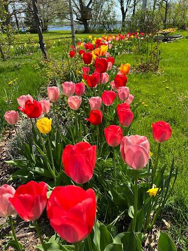 Hardscrabble Orchard & Gardens - Thumbnail