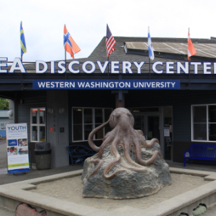 SEA Discovery Center