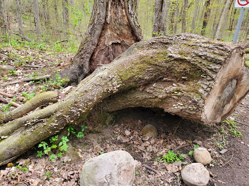 Dryden Tract - Thumbnail