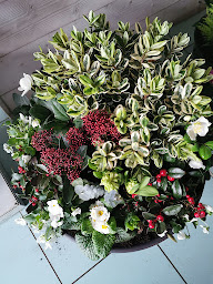 Photo n°18 de L' Arrosoir Fleuriste à Verrières (Fleuriste)