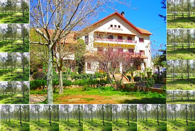 Photos of H&ocirc;tel le panorama