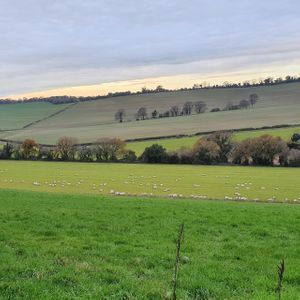 Breeze View Farm