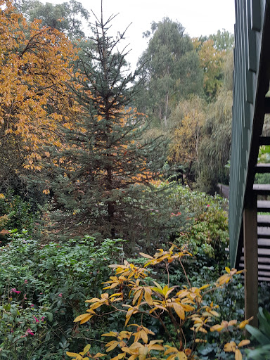 Cockatoo Springs Retreat - Thumbnail