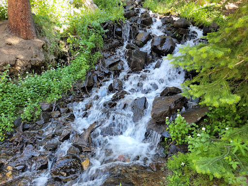 Geneva Creek Iron Fens - Thumbnail