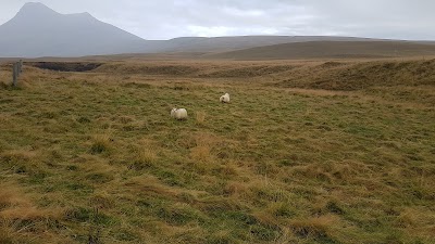 Photos of Tjaldsv&aelig;&eth;i&eth; Hvolsvelli