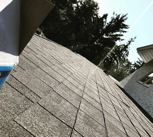 Unique Roofing Ltd. - Visual