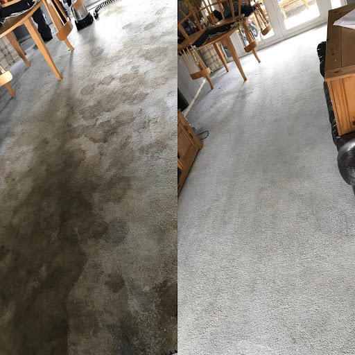 Leicester Carpet & Upholstery Cleaner - Thumbnail