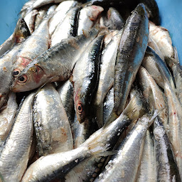 Photo n°21 de Café du Port à Rennes (Café)