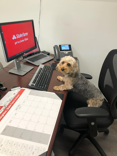 Linda Rodriguez - State Farm Insurance Agent - Thumbnail