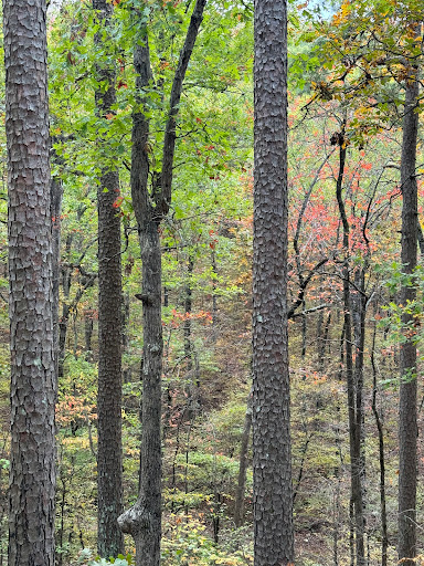 Wolf Pen Gap North Trail Head - Thumbnail