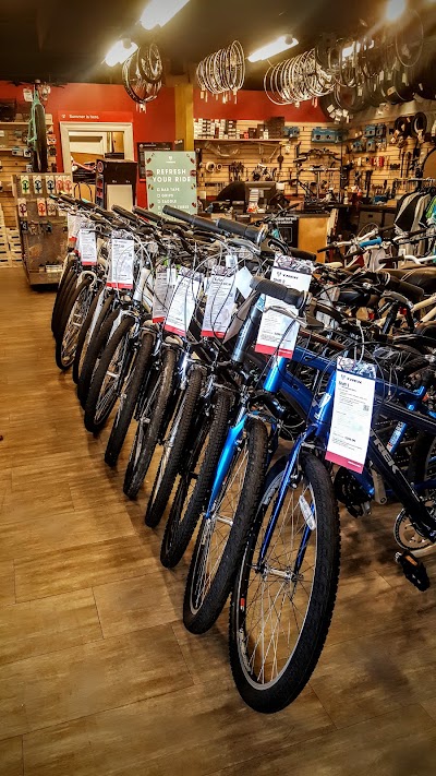 Photos of D&D Bicycles & Hockey - Trek, Giant & Electra Bike Stores of Michigan